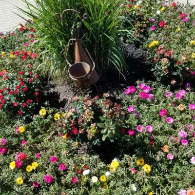 Circle Garden